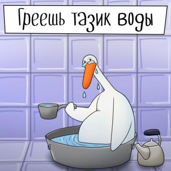 Сезон тазиков